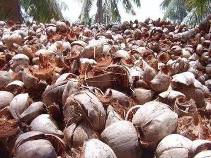 Productos de cáscara de coco para carbón