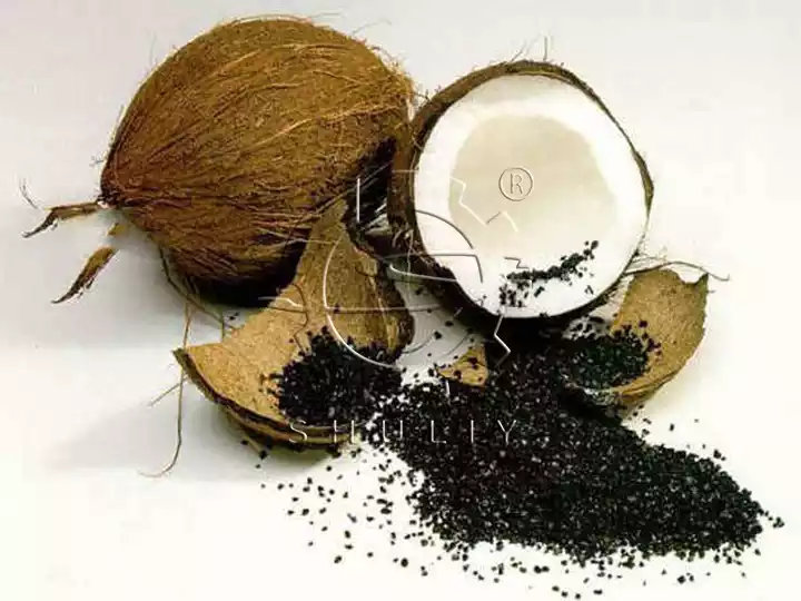Carbón de cáscara de coco ecológico